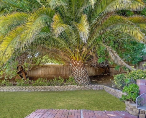 50897 Backyard